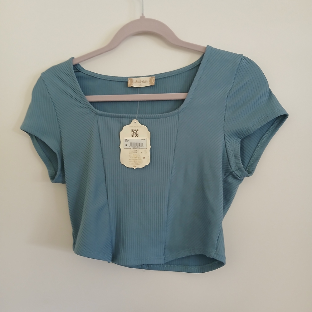 Altar'd State Teal Ribbed Crop Top